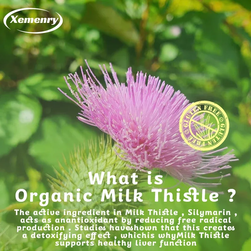 Capsule di cardo mariano 1000  - Milk Thistle Silymarin recensione e prezzo
